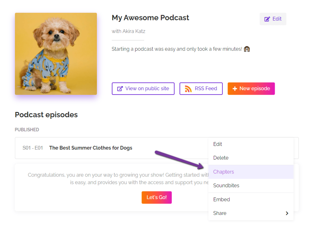 Podcast Chapters 1